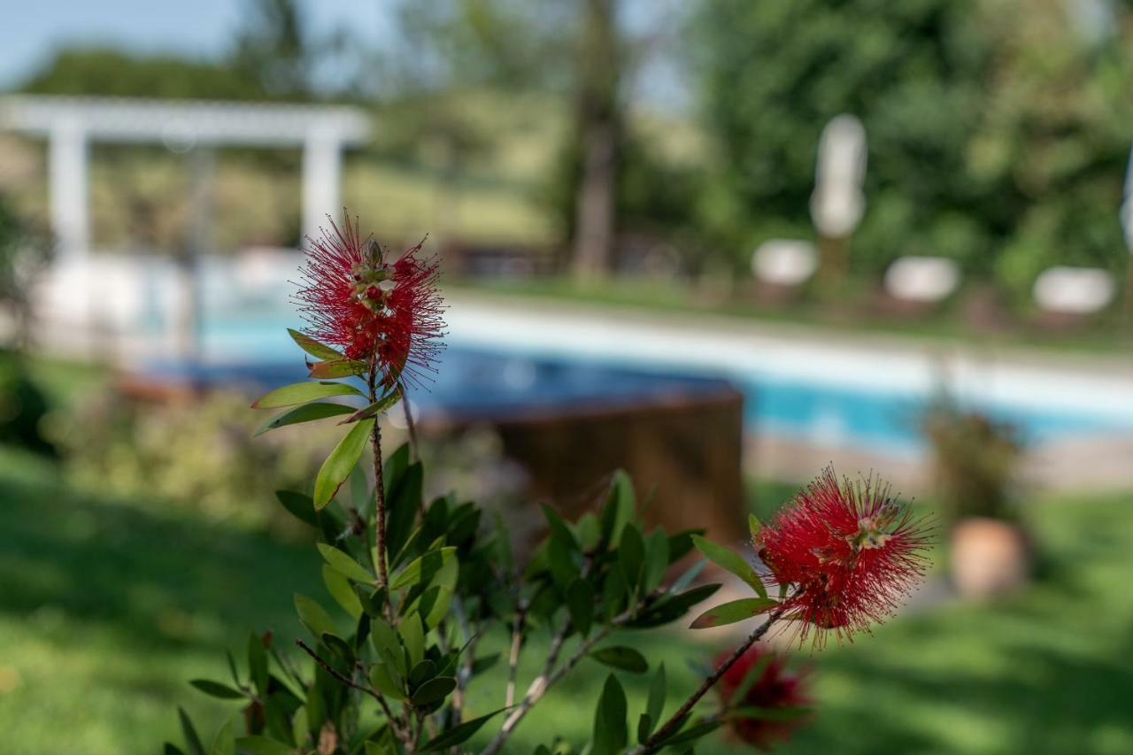 Le Maracla Country House Iesi Exterior foto